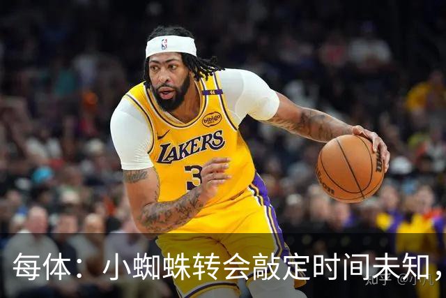 每体：小蜘蛛转会敲定时间未知，哈姆扎留巴萨一队几率大幅增加