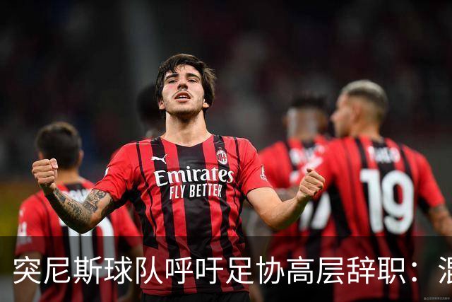 突尼斯球队呼吁足协高层辞职：混乱、治理不善、腐败、缺乏透明度