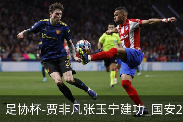 足协杯-贾非凡张玉宁建功 国安2-1大连可为晋级8强